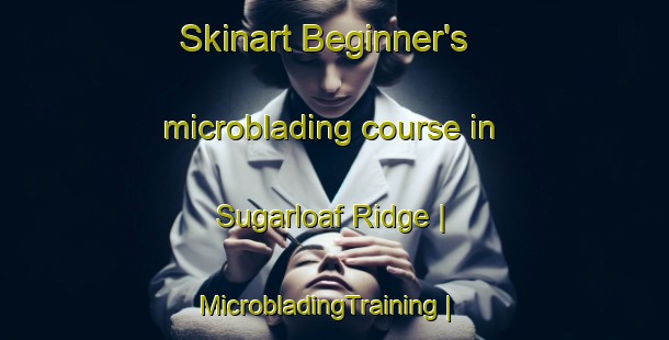 Skinart Beginner's microblading course in Sugarloaf Ridge | MicrobladingTraining | MicrobladingClasses | SkinartTraining-United States